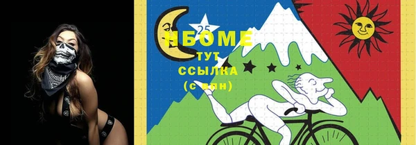 ешки Алексин