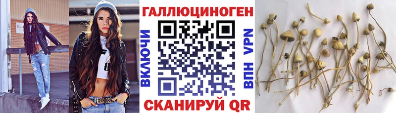 продажа наркотиков  Игра  Галлюциногенные грибы GOLDEN TEACHER 
